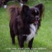 Inventor LORD OF THE RING 2