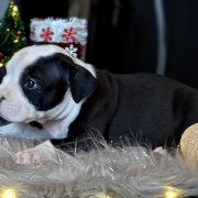 IRISH COFFEE Child of Love