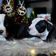 IRISH COFFEE Child of Love