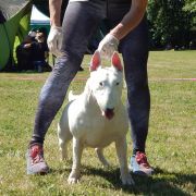 J.Ch.J.ChBŁ.Ch.Pl.Ch.MŁ. KIM z Rzymskich Legionów