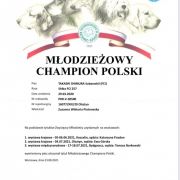 J.Ch.Pl. Ch.Pl TAKASHI SHIMURA Subarashii FCI