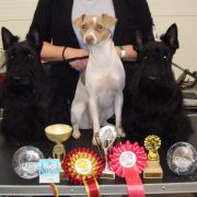 Jakard Wejherstaff FORTUNA