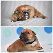 Jakard Wejherstaff TOUCH BY TOUCH 