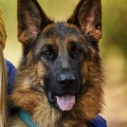 Jamaica von der Berghofer-Heide 