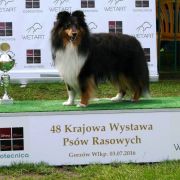 JAMAL - MAGICZNY OGRÓD FCI