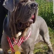 Jennifer Krzyk Uwielbienia 