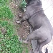 Jennifer Krzyk Uwielbienia 