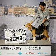 Jolly Voice Sky Fire 