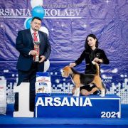 Jolly Voice Sky Fire 