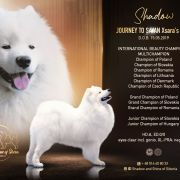 JOURNEY TO SAYAN Xsara's hope