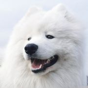 JOURNEY TO SAYAN Xsara's hope