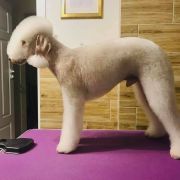 Jumper Hunter Hopeful Spring