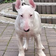 KALIBER Hexeside FCI 