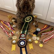 KEFALINA Pies de Perro