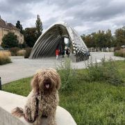 KEFALINA Pies de Perro 2