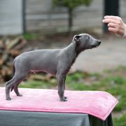 KENRICK-RUNAR Paka Czworaka