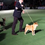 Khakufu Akemi Jaqueline 3