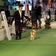 Khakufu Akemi Jaqueline 4