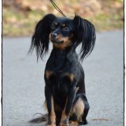 Kim Kardashian z Kuzikolandii