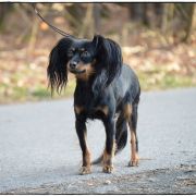 Kim Kardashian z Kuzikolandii