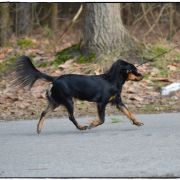 Kim Kardashian z Kuzikolandii