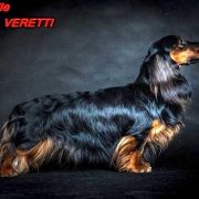  Kinchville Vinno Veretti 3