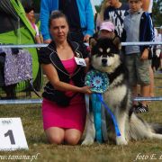 KING OF CHAMPIONS Polarni Usvit 2