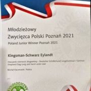 Kingsman-Schwarz Eylandt