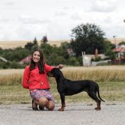 KIRA Z Sokołowskiej Ziemi