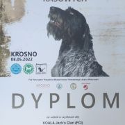 KOALA Jack's Clan (FCI)