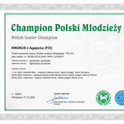 KROKUS z Agaponu FCI