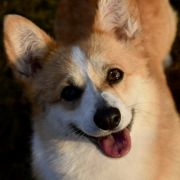 KRÓLOWA KLARA Famiglia Della Regina