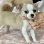 La Lilou Tesori di Diamanti 