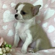 La Lilou Tesori di Diamanti 