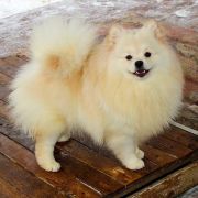 LADONNA AL'TERA IZ KNYAGININO