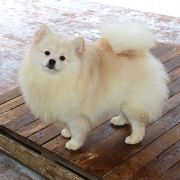 LADONNA AL'TERA IZ KNYAGININO 2