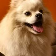 LADONNA AL'TERA IZ KNYAGININO 3