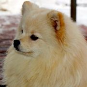 LADONNA AL'TERA IZ KNYAGININO 4