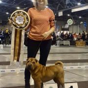 Lady Blu Marino Molosy Dobrońskie 2