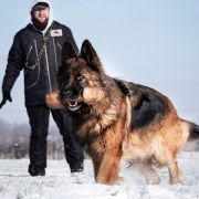 Lara z Kaliszkowickiej Wieży 