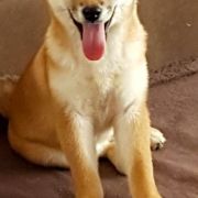 Legenda Arden Michiko 2