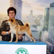 Legenda Arden Michiko 3