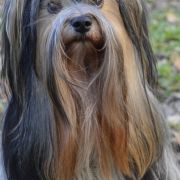 LILI Klan Biewier-Rott