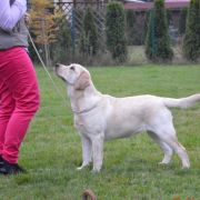 LIMITED EDITION HERBU ZADORA 2