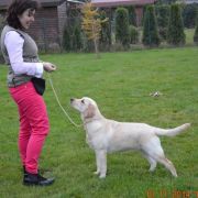 LIMITED EDITION HERBU ZADORA 3