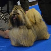 LIN-PEARL'S DANCE WITH ME