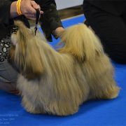 LIN-PEARL'S DANCE WITH ME