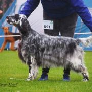 Lucksheray Darkness 3