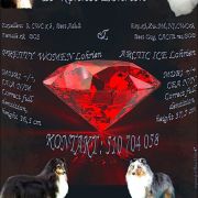 Lucky Luck Lohrien 4