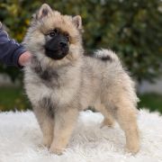 LUCREZIA Shaggy Fluff